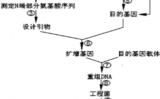 酶控减脂技术，酶控减脂技术是真的吗