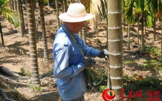 高压种植技术，高压种植视频