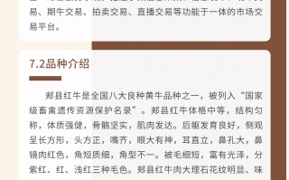 致牛数据分析，一定牛数据分析