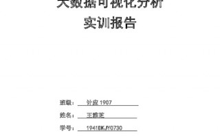 大数据分析实习报告，大数据分析实训报告