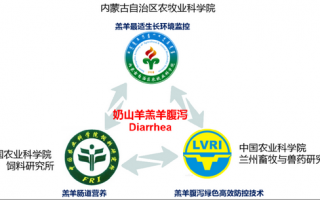 农业产业技术体系建设，农业产业技术体系建设包括