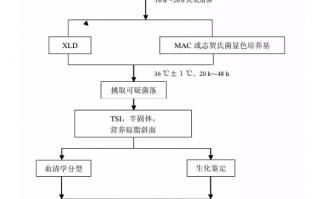 无菌技术的操作流程，无菌技术的操作流程和注意事项
